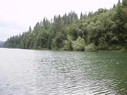 rollinslake1