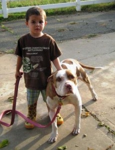 Precious Needs a Good Home