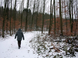walking