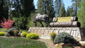 Nevada-County-Fairgrounds