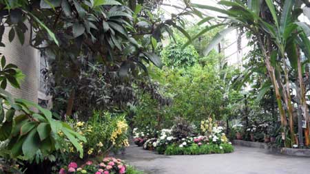 botanical garden