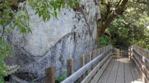 crossing-large-ravine-indep