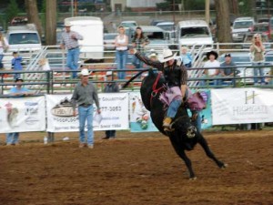 Tickets are on sale now for the Donny Martin Memorial Bull Riding event and the Professional Rodeo, both taking place at next week’s Nevada County Fair.  Photo credit: Nevada County Fair.