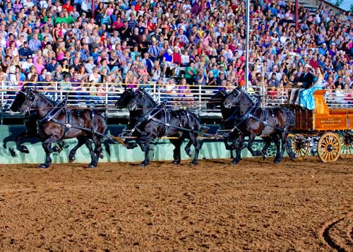 2013-draft-horse-classic