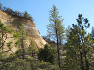 Mountain washed down by the miners seeking gold