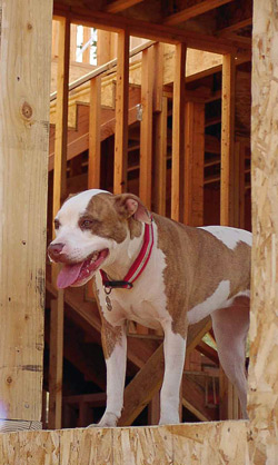 Hi, I'm Angel and this is me inspecting my dog house being built. It's 2100 square feet, 3 bedroom, 2 baths with a great outdoor bathroom