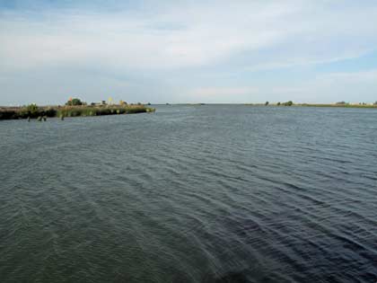 Looking at the Delta from the sun deck of the "Easy Breezy"