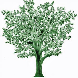 money-tree