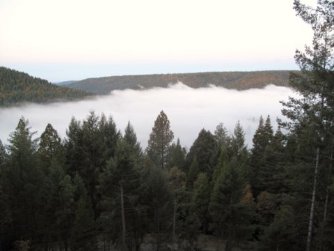 Fog over Scotts Flat Lake 1