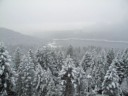 Scotts Flat Lake about 8 am this morning  December 7, 2009 (from my deck)