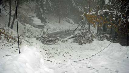 Notice the branch and power line across the road