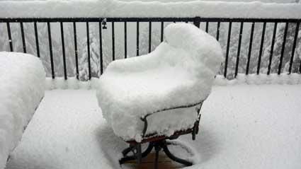 Snow storm came during the night and decided to have seat.