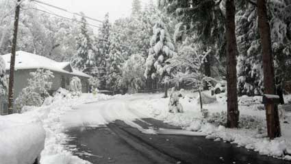 Looking up from the road from away from my house Saturday morning