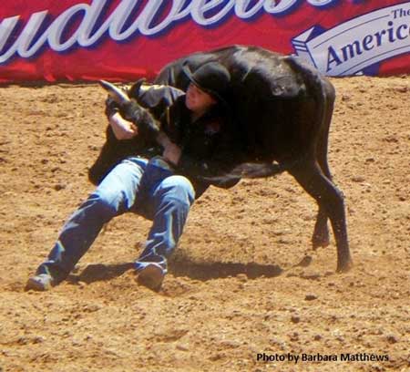 Rodeo Nevada County Fairgrounds