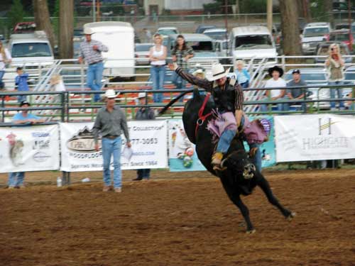Bull riding Nevada County Fair  Photo credit: Nevada County Fair